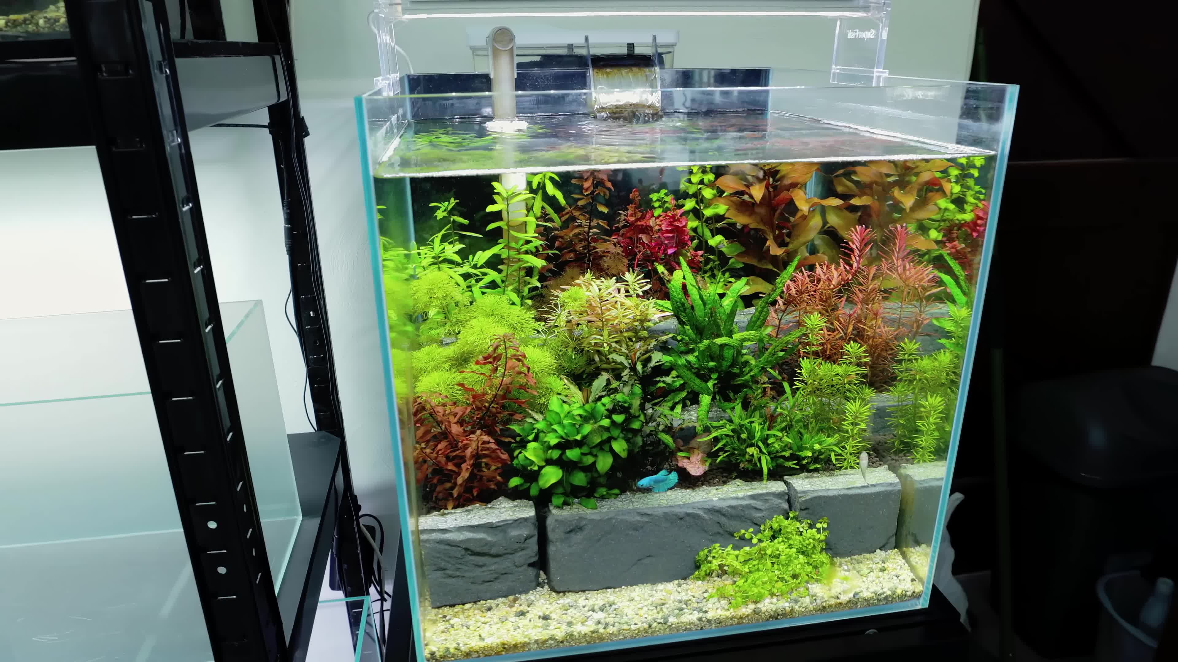 Initial view of the Superfish Home Aquarium