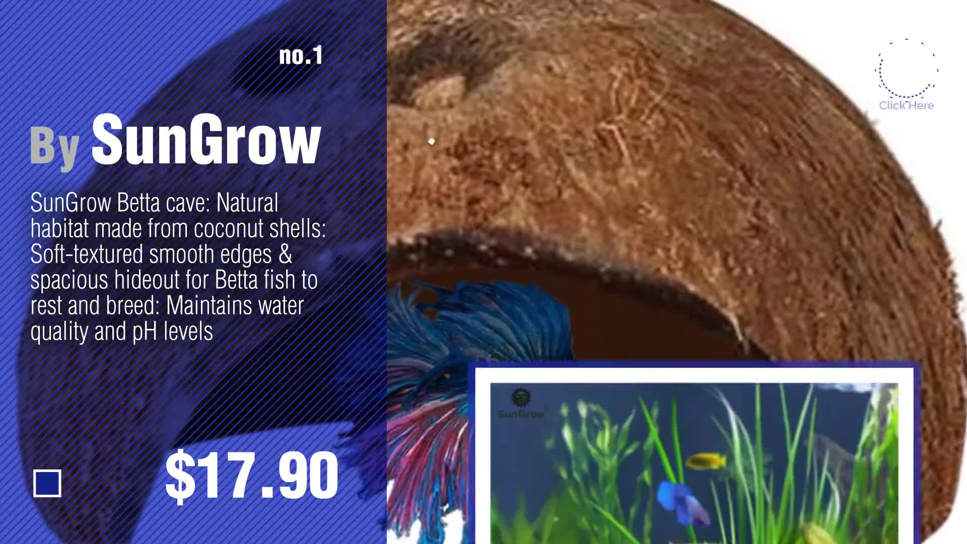 Image of the Lee tank divider in an aquarium setting
