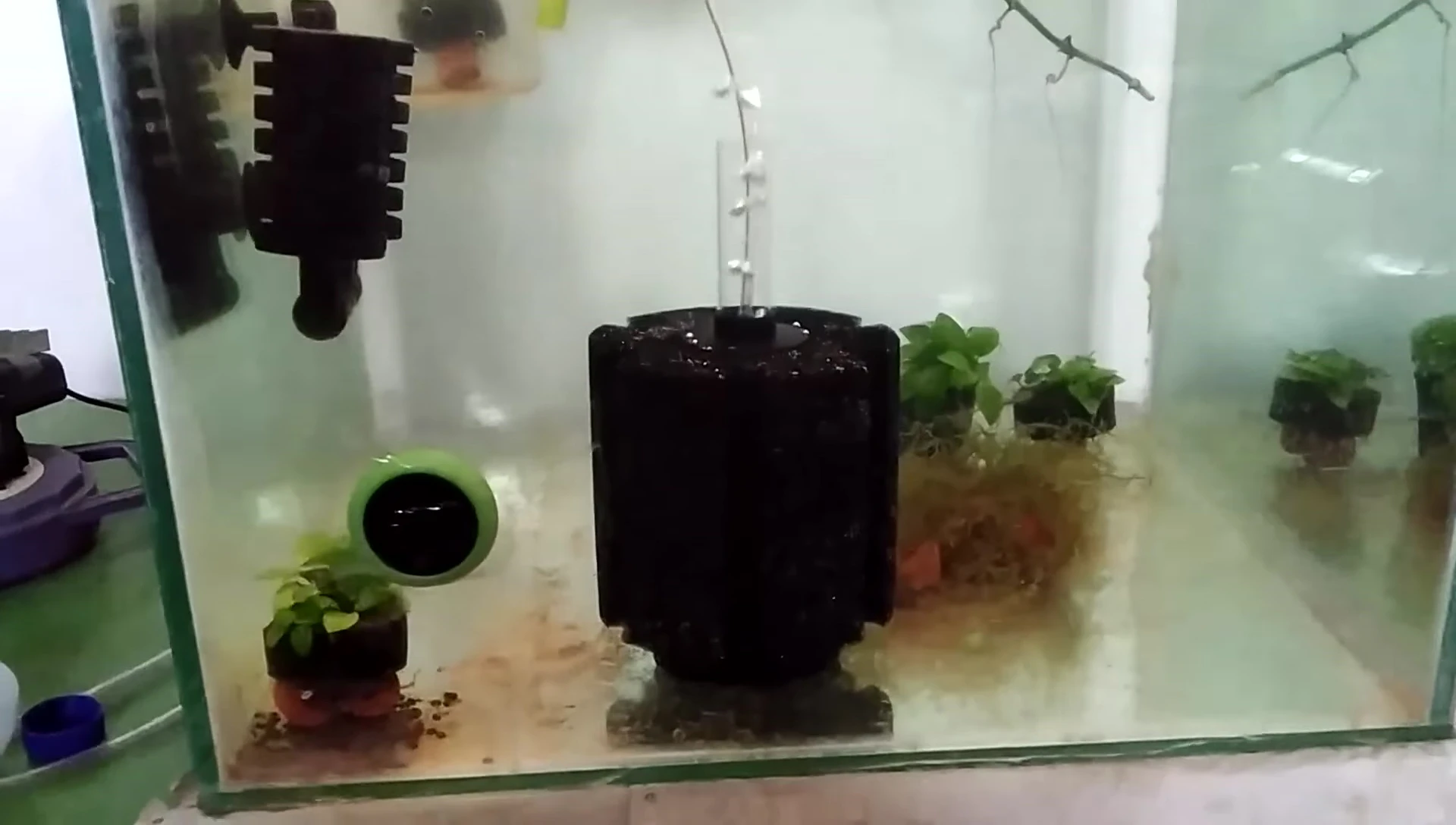 The filter running in a 1.5 ft tank