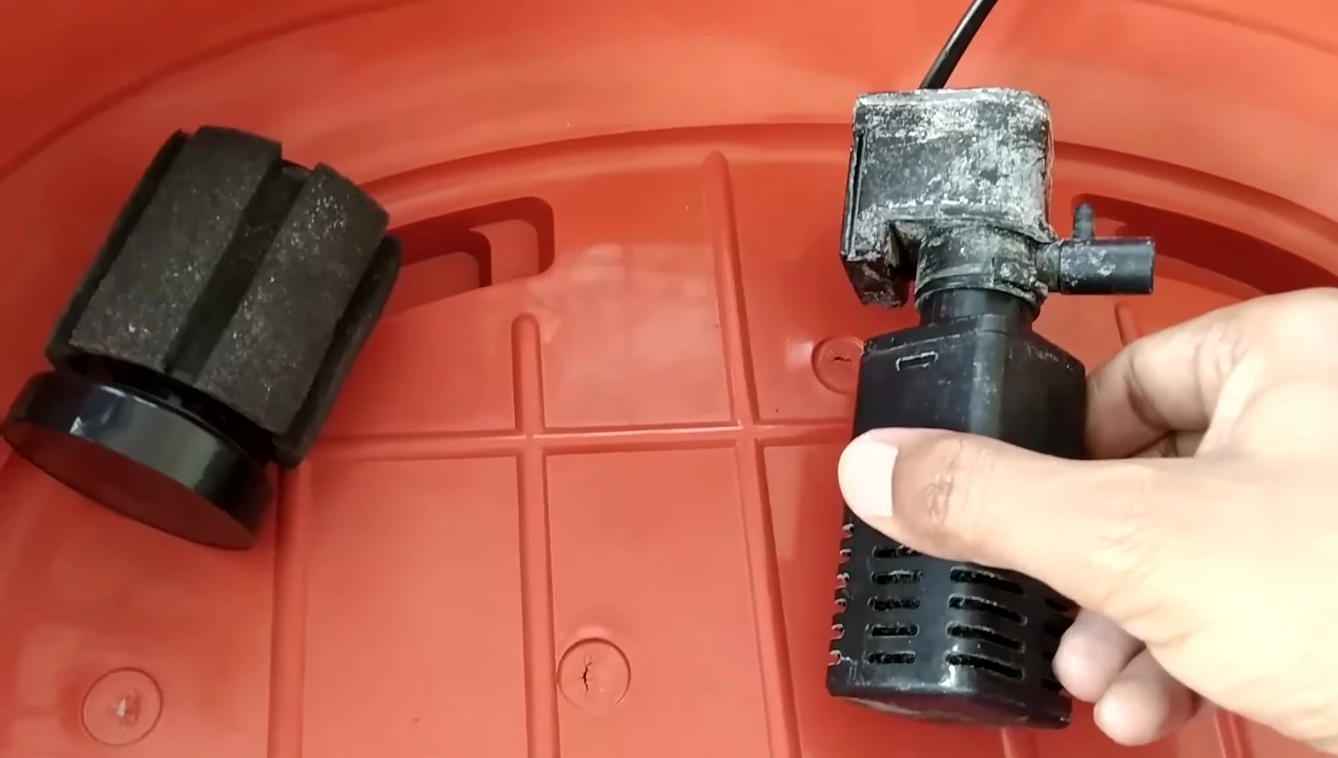 Comparison between a sponge filter and a power filter