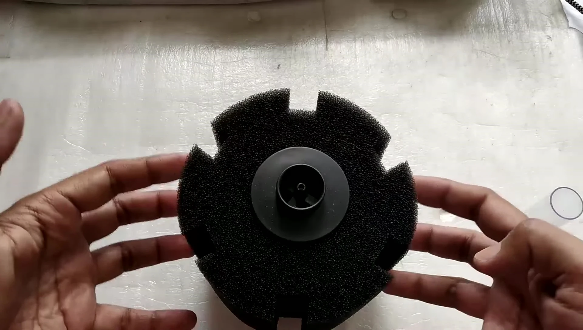 Close-up of the sponge showing trapped debris