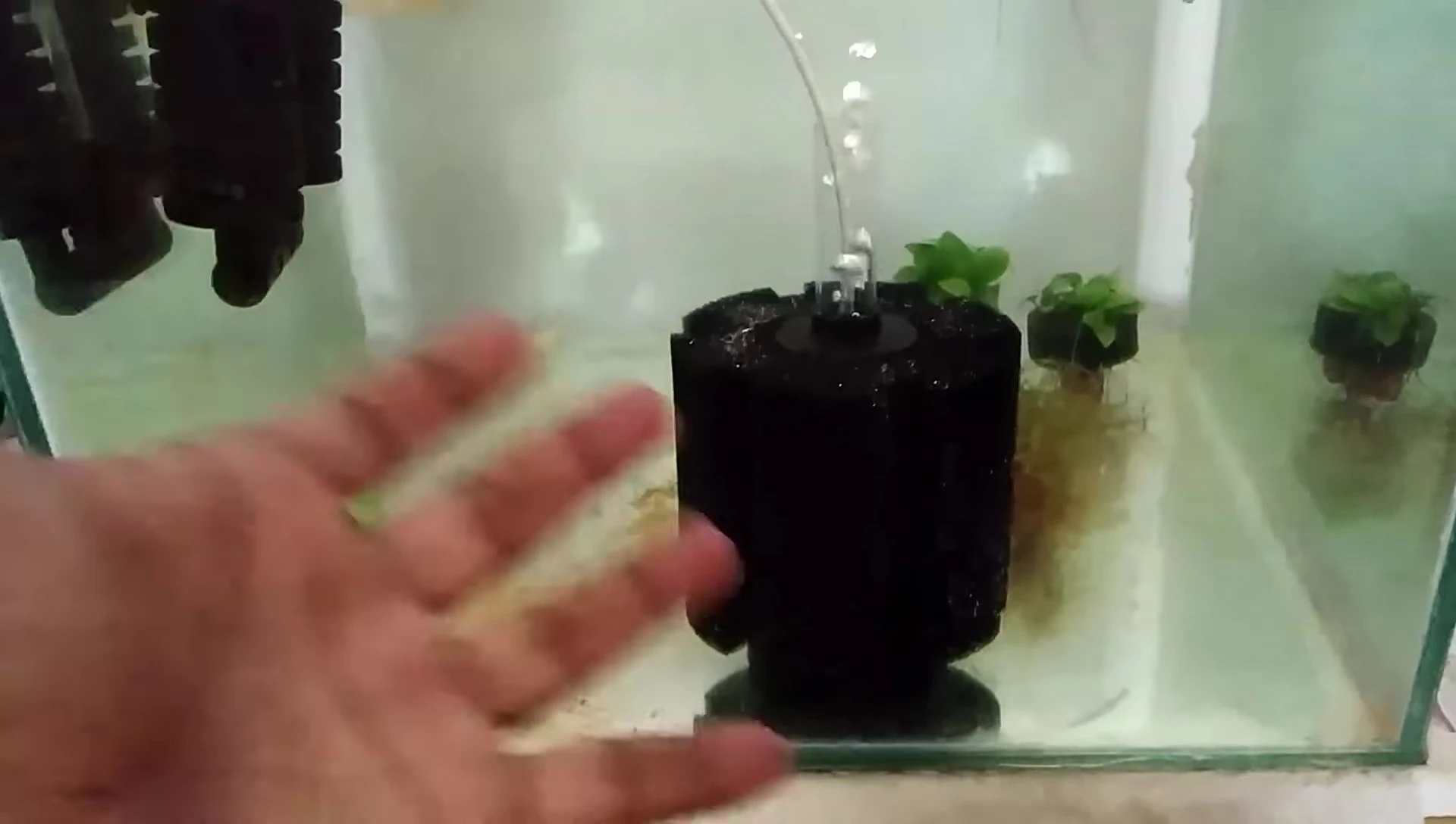 Final shot of the filter in the tank